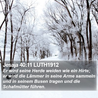 Jesaja 40:11 LUTH1912 Bible Verse Image