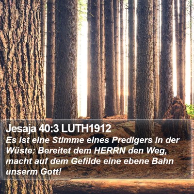 Jesaja 40:3 LUTH1912 Bible Verse Image