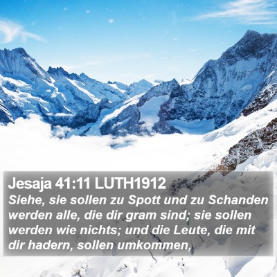 Jesaja 41:11 LUTH1912 Bible Verse Image