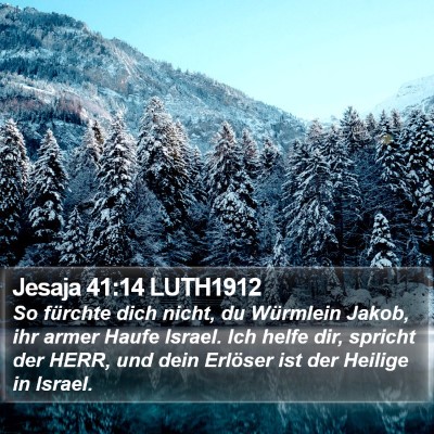 Jesaja 41:14 LUTH1912 Bible Verse Image