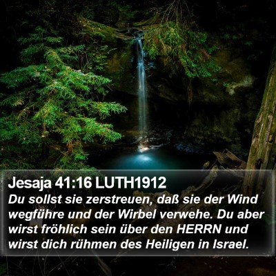 Jesaja 41:16 LUTH1912 Bible Verse Image
