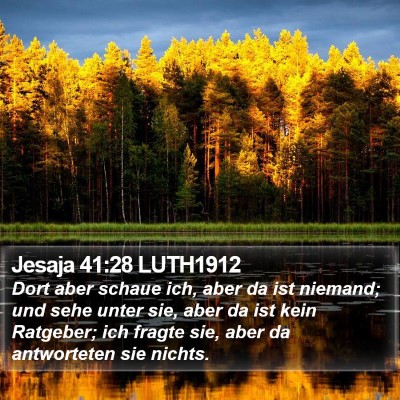 Jesaja 41:28 LUTH1912 Bible Verse Image