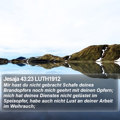 Jesaja 43:23 LUTH1912 Bible Verse Image