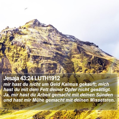 Jesaja 43:24 LUTH1912 Bible Verse Image