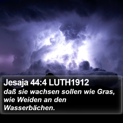 Jesaja 44:4 LUTH1912 Bible Verse Image
