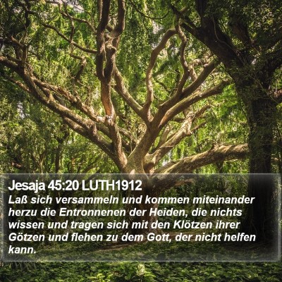 Jesaja 45:20 LUTH1912 Bible Verse Image