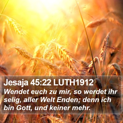 Jesaja 45:22 LUTH1912 Bible Verse Image
