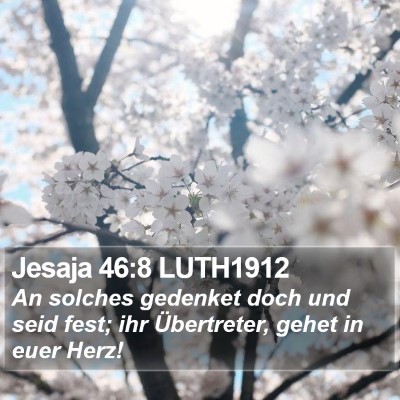 Jesaja 46:8 LUTH1912 Bible Verse Image