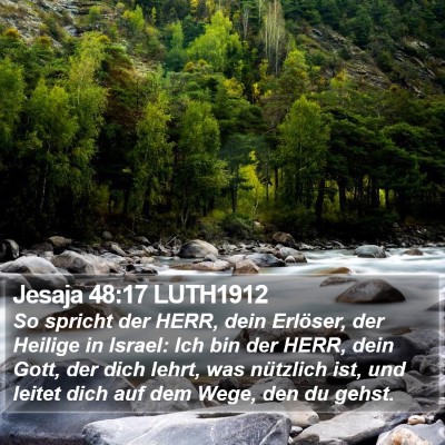 Jesaja 48:17 LUTH1912 Bible Verse Image