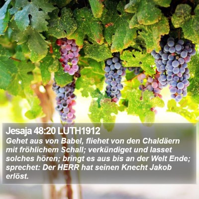 Jesaja 48:20 LUTH1912 Bible Verse Image
