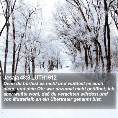 Jesaja 48:8 LUTH1912 Bible Verse Image