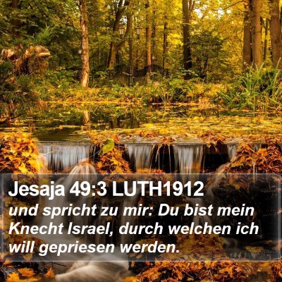 Jesaja 49:3 LUTH1912 Bible Verse Image