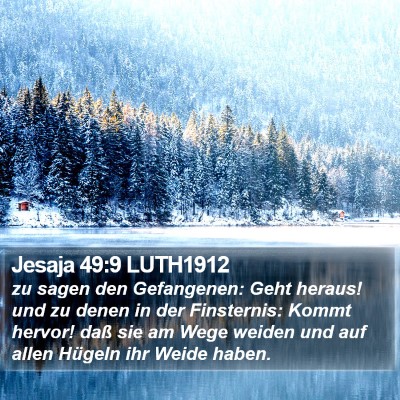 Jesaja 49:9 LUTH1912 Bible Verse Image