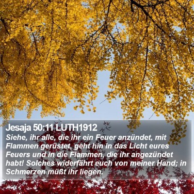 Jesaja 50:11 LUTH1912 Bible Verse Image