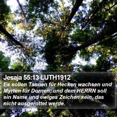 Jesaja 55:13 LUTH1912 Bible Verse Image