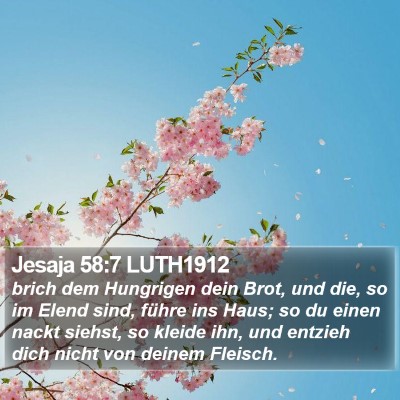 Jesaja 58:7 LUTH1912 Bible Verse Image