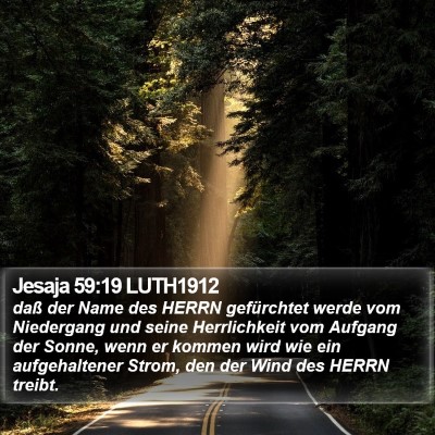 Jesaja 59:19 LUTH1912 Bible Verse Image