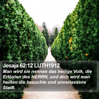 Jesaja 62:12 LUTH1912 Bible Verse Image