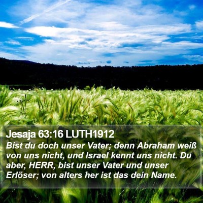 Jesaja 63:16 LUTH1912 Bible Verse Image