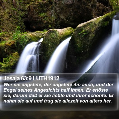 Jesaja 63:9 LUTH1912 Bible Verse Image