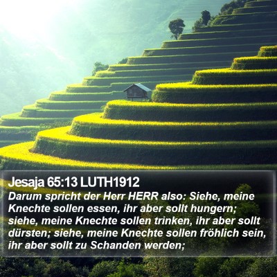 Jesaja 65:13 LUTH1912 Bible Verse Image