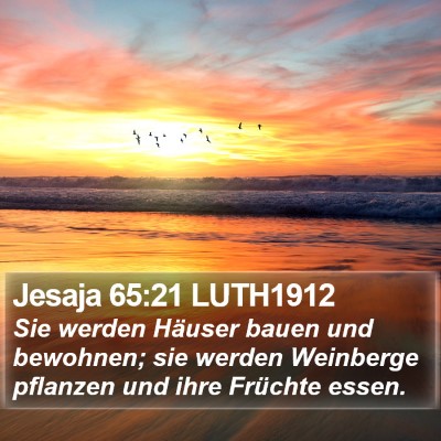 Jesaja 65:21 LUTH1912 Bible Verse Image