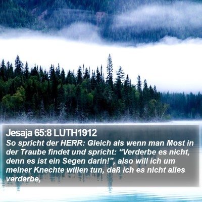 Jesaja 65:8 LUTH1912 Bible Verse Image