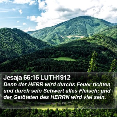 Jesaja 66:16 LUTH1912 Bible Verse Image