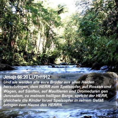 Jesaja 66:20 LUTH1912 Bible Verse Image