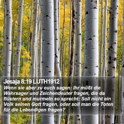 Jesaja 8:19 LUTH1912 Bible Verse Image