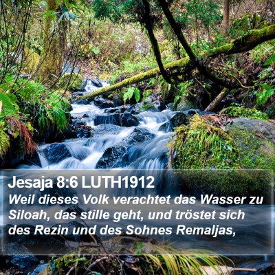Jesaja 8:6 LUTH1912 Bible Verse Image