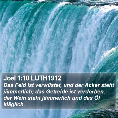 Joel 1:10 LUTH1912 Bible Verse Image
