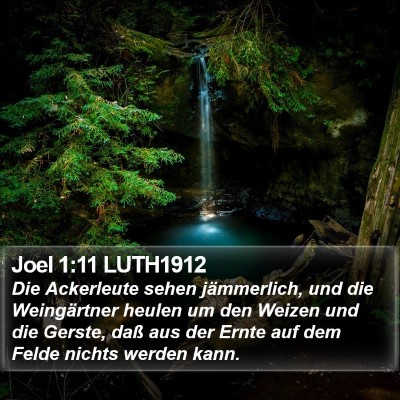 Joel 1:11 LUTH1912 Bible Verse Image
