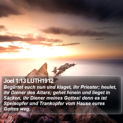 Joel 1:13 LUTH1912 Bible Verse Image