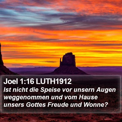 Joel 1:16 LUTH1912 Bible Verse Image