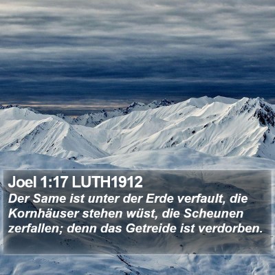 Joel 1:17 LUTH1912 Bible Verse Image