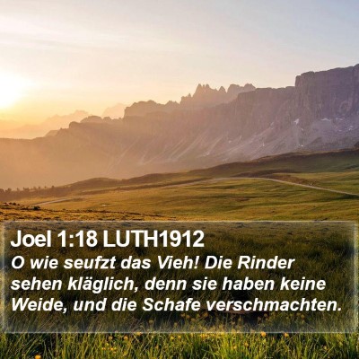 Joel 1:18 LUTH1912 Bible Verse Image