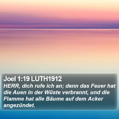 Joel 1:19 LUTH1912 Bible Verse Image