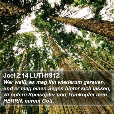 Joel 2:14 LUTH1912 Bible Verse Image