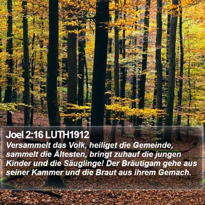 Joel 2:16 LUTH1912 Bible Verse Image