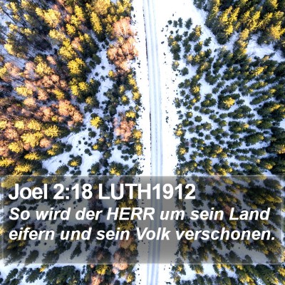 Joel 2:18 LUTH1912 Bible Verse Image