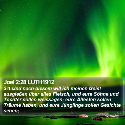 Joel 2:28 LUTH1912 Bible Verse Image