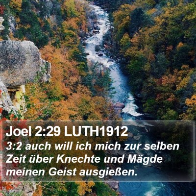 Joel 2:29 LUTH1912 Bible Verse Image
