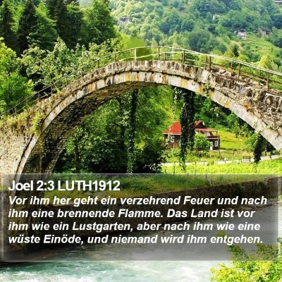 Joel 2:3 LUTH1912 Bible Verse Image