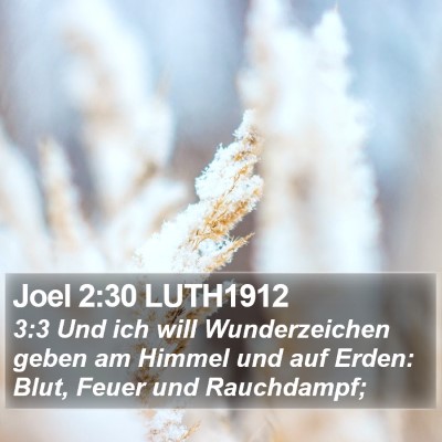 Joel 2:30 LUTH1912 Bible Verse Image