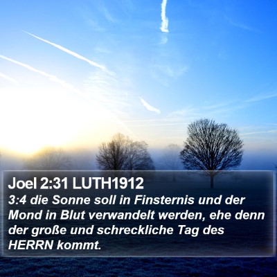 Joel 2:31 LUTH1912 Bible Verse Image