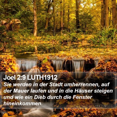 Joel 2:9 LUTH1912 Bible Verse Image