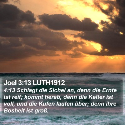 Joel 3:13 LUTH1912 Bible Verse Image
