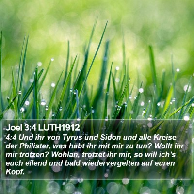 Joel 3:4 LUTH1912 Bible Verse Image