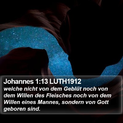 Johannes 1:13 LUTH1912 Bible Verse Image